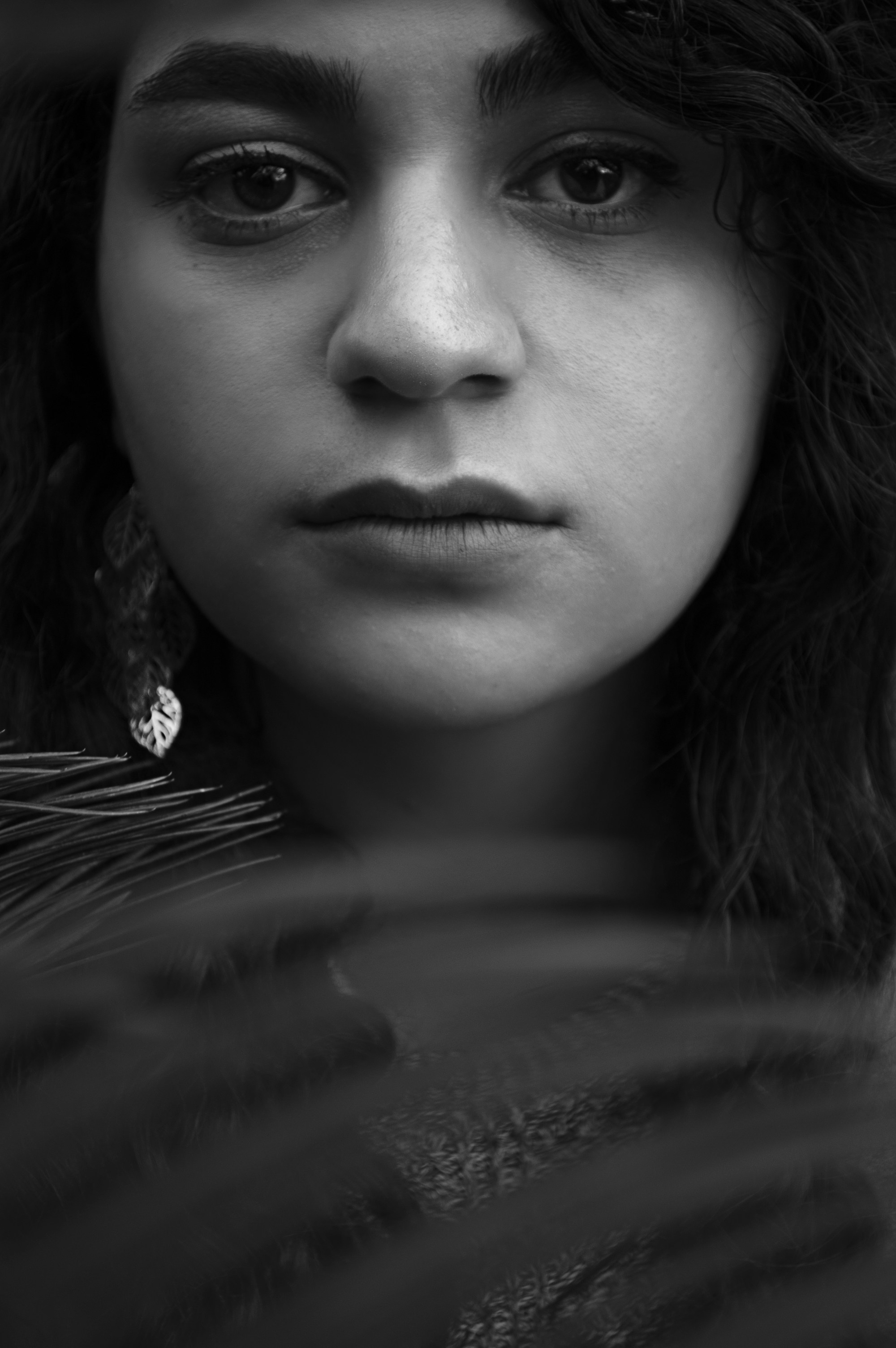 Photo by baranlotfollahi