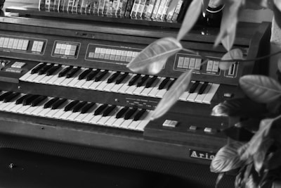 A vintage organ with dual keyboards and multiple buttons and switches on its console is partially obscured by large, glossy leaves of a nearby plant. Several VHS tapes or books are stacked horizontally on a shelf behind the organ.