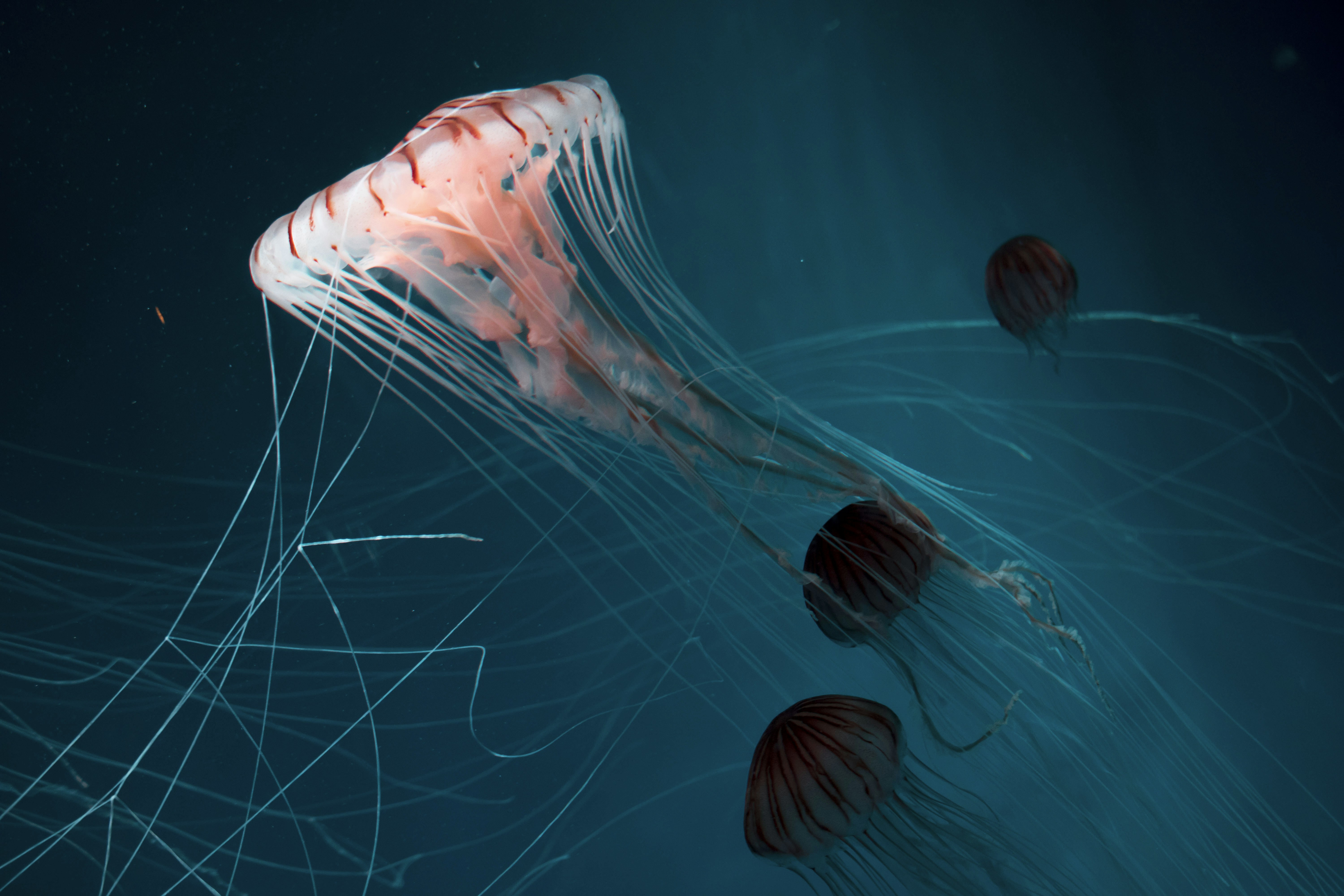 Photo by tsaiwen_hsu