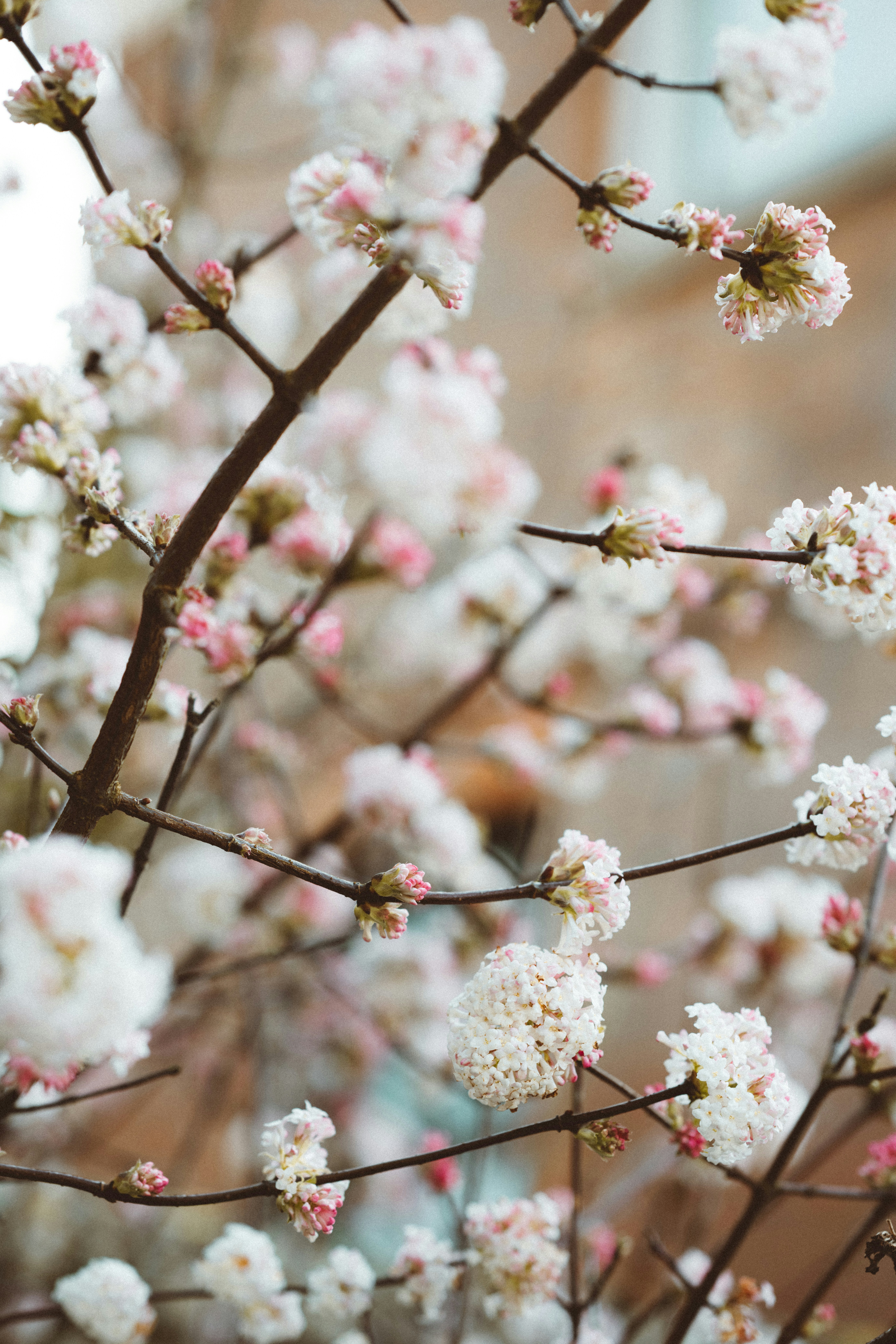 Photo by anniespratt