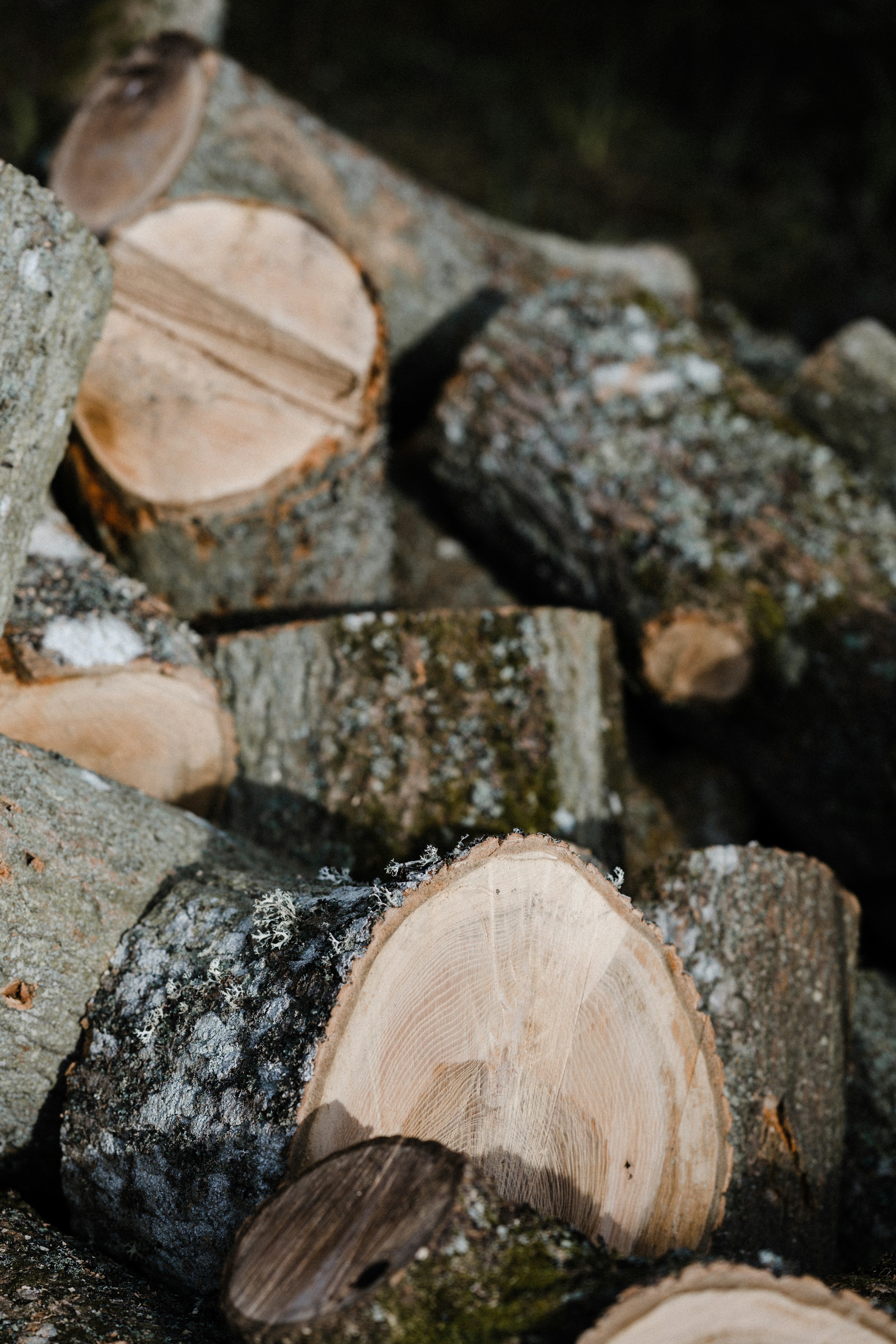 Photo by anniespratt