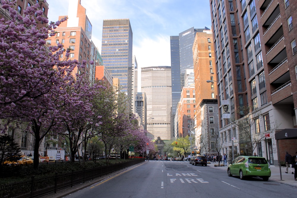 cars on road between high rise buildings during daytime