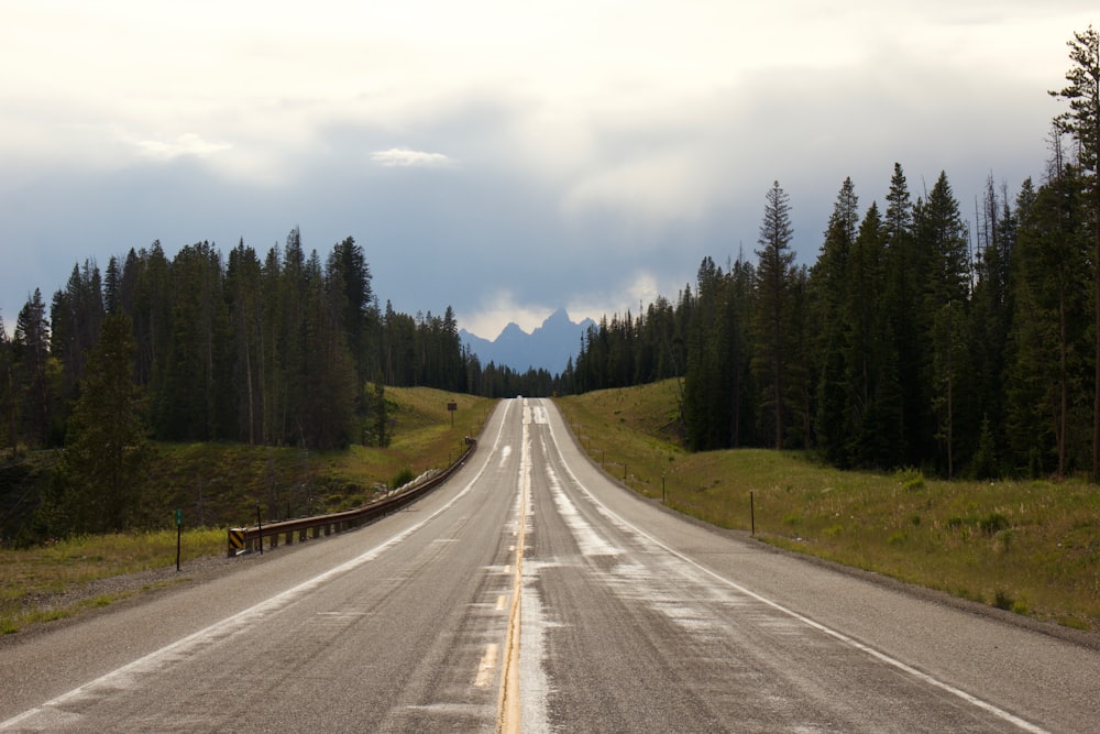 gray asphalt road between green trees under white sky during daytime