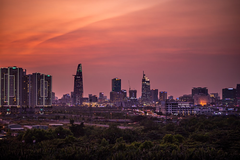 city skyline during night time