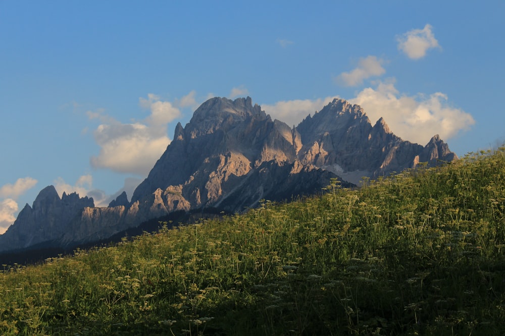 green grass field near rocky mountain under blue sky during daytime