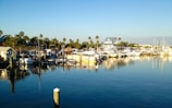 A serene marina filled with numerous boats, some with cabins, docked along the piers. Palm trees line the waterfront, and buildings are visible in the background. The calm water reflects the boats and trees, adding to the peaceful atmosphere.