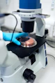 A person in blue gloves placing a petri dish under a laboratory microscope