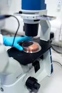 A person in blue gloves placing a petri dish under a laboratory microscope