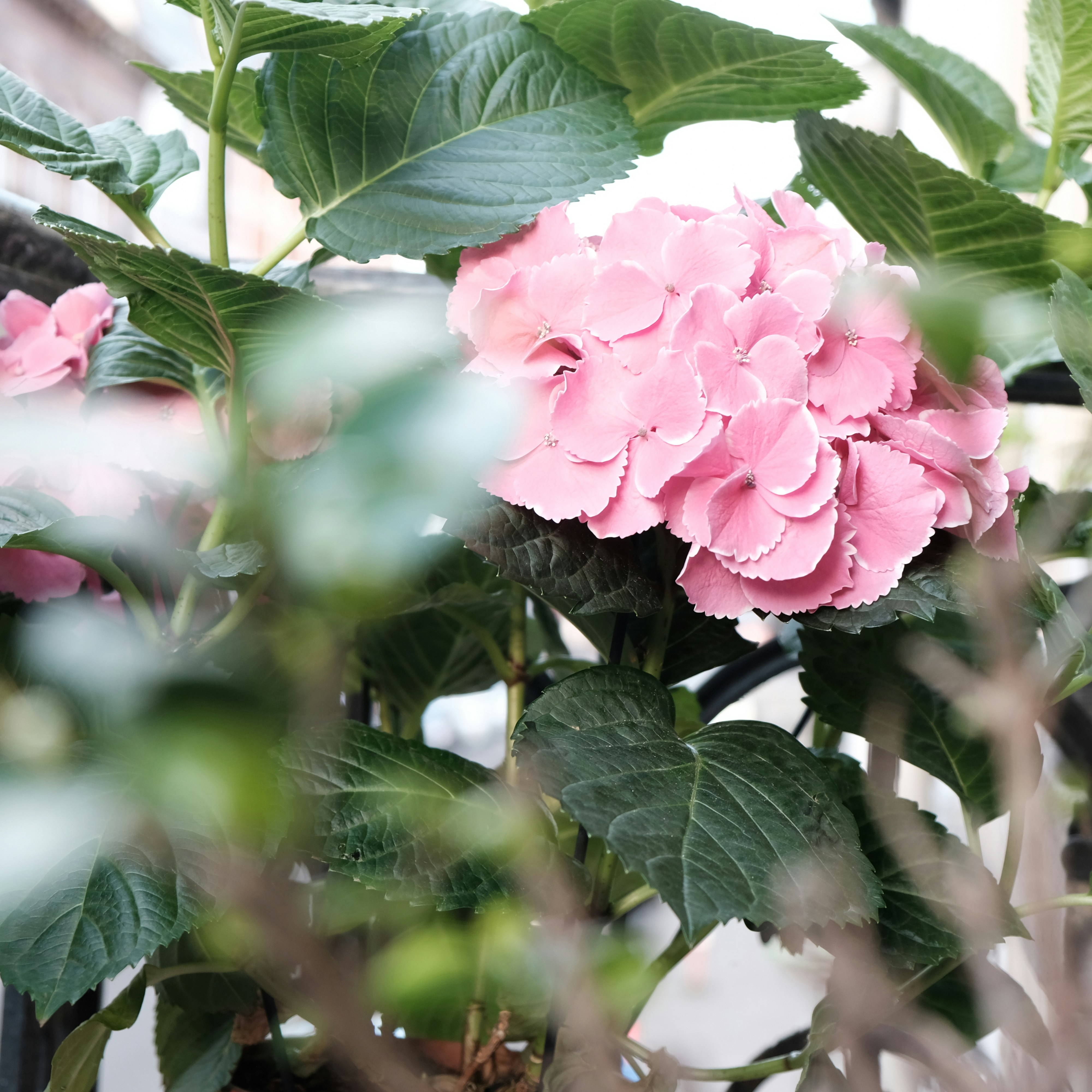 Photo by louismornaud