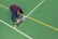 A man is bending over on a sports court, operating a line marking machine to draw straight lines. The court surface is green with white and yellow lines, indicating it may be used for multiple sports.
