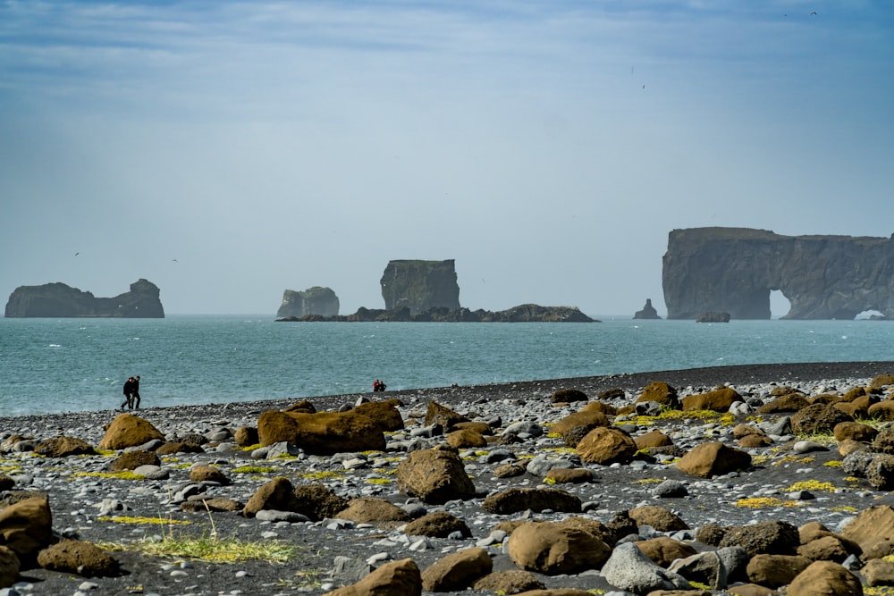 brown rock formation on sea during daytime