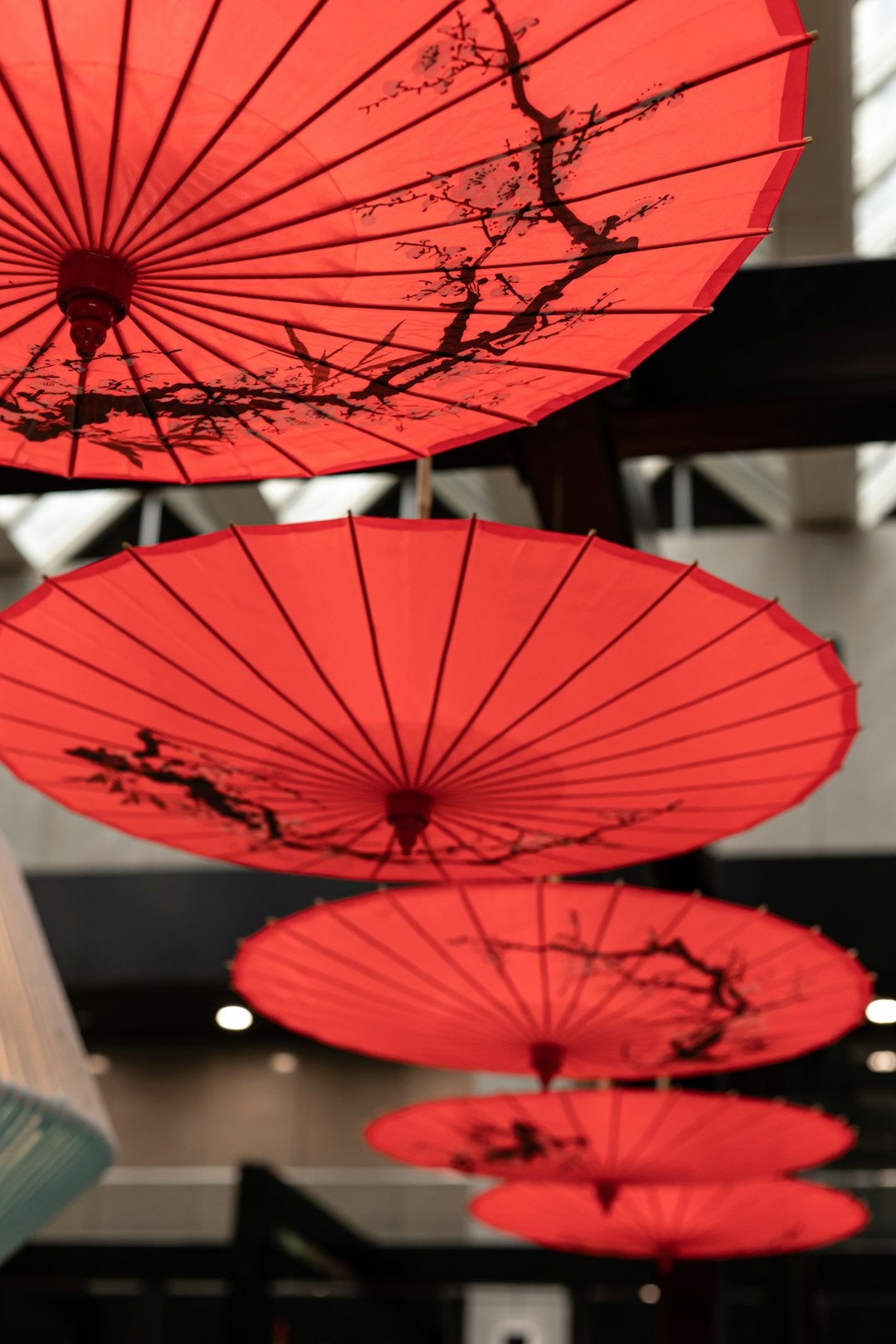 red umbrella in shallow focus lens
