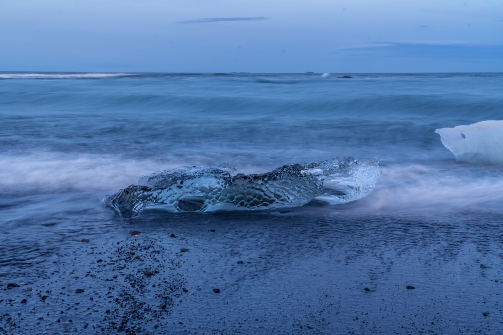 sea waves crashing on shore during daytime