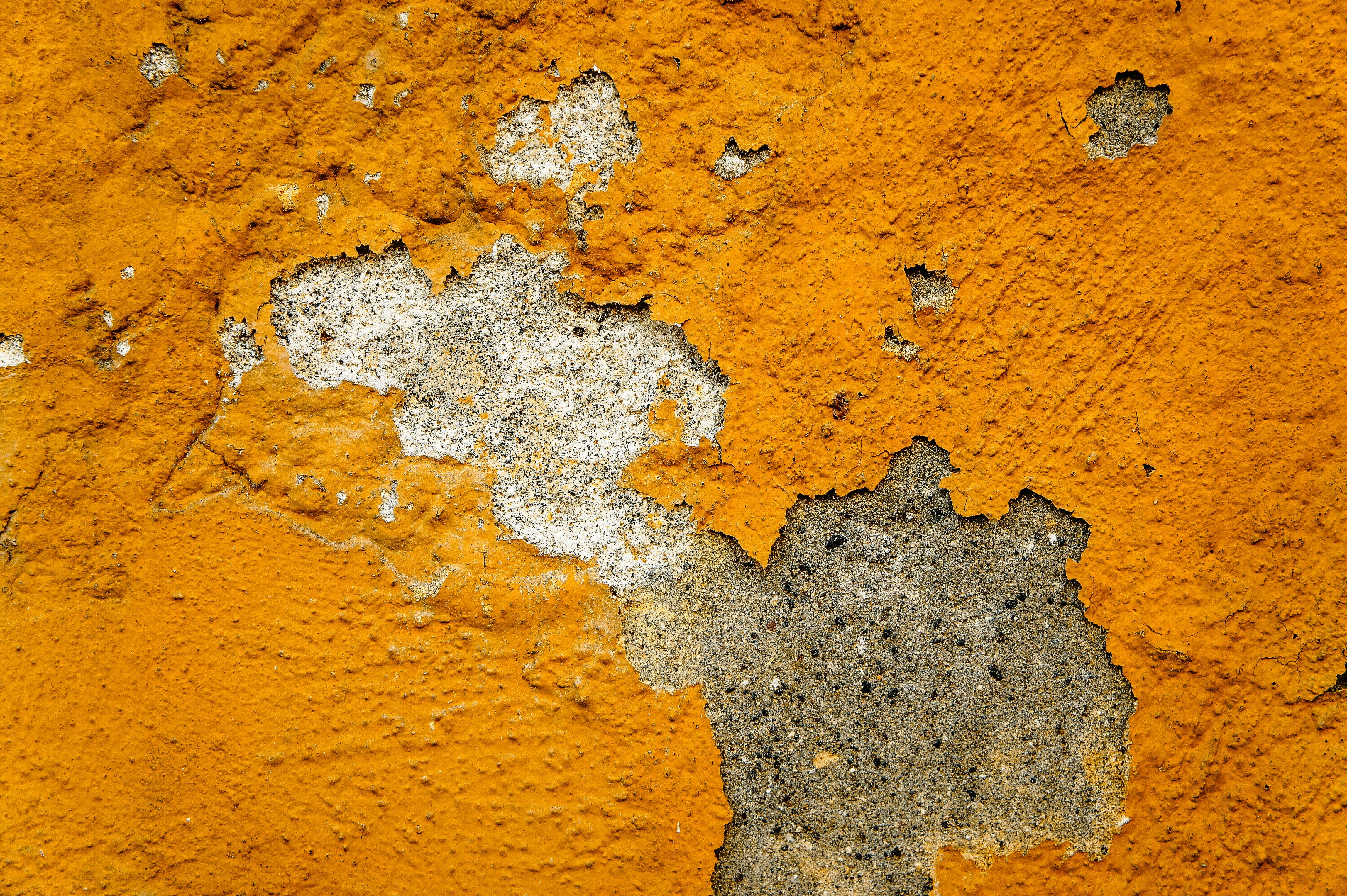 Photo by laurisrozentals