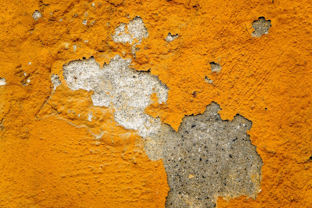 orange and white concrete wall