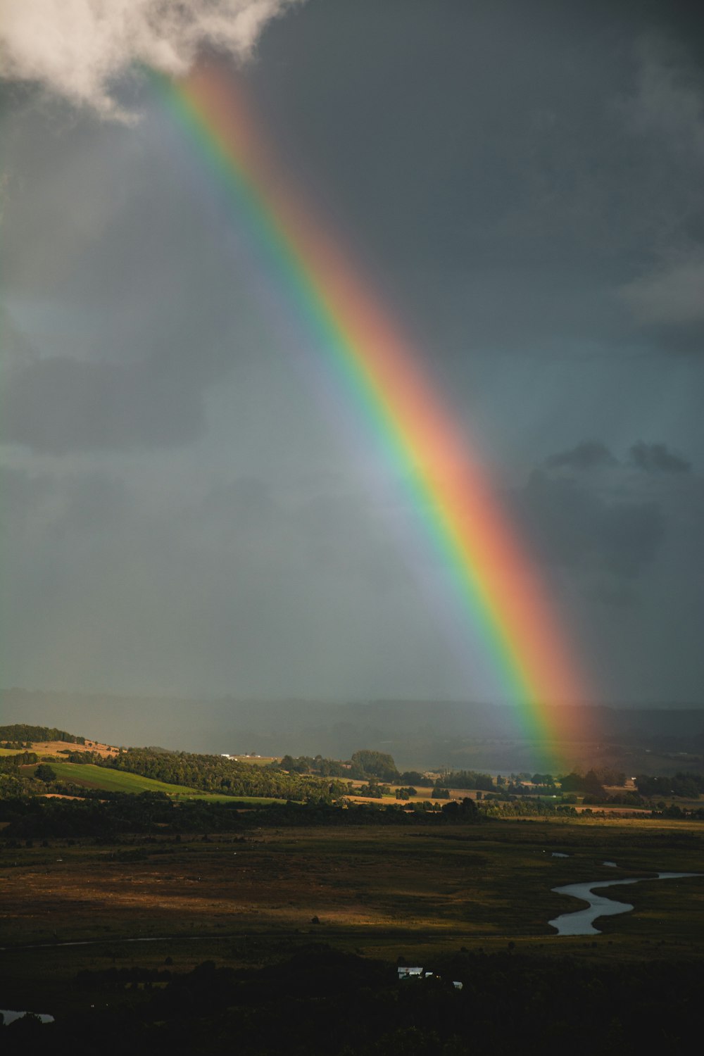 green grass field under rainbow