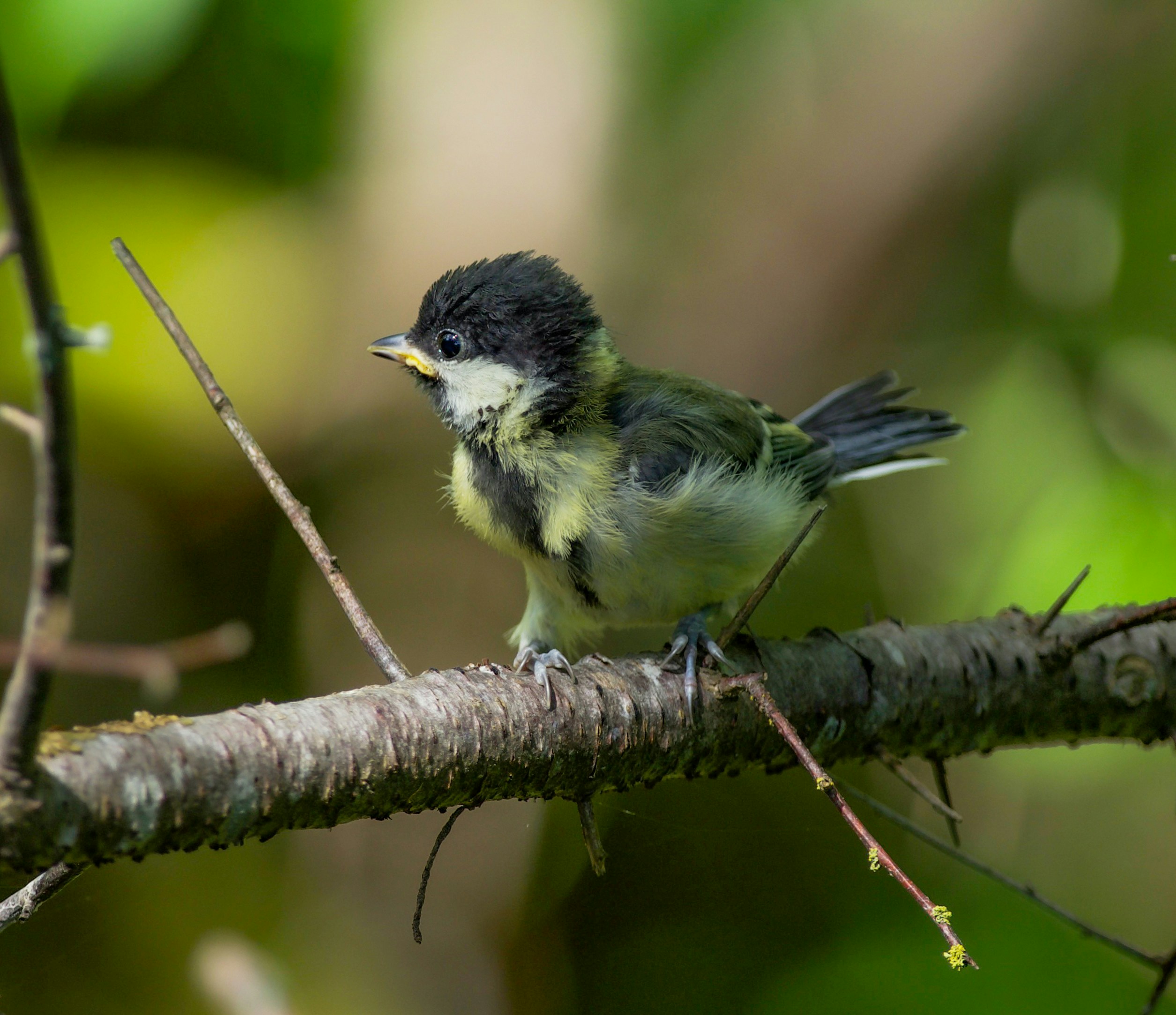 Photo by photosharing1000