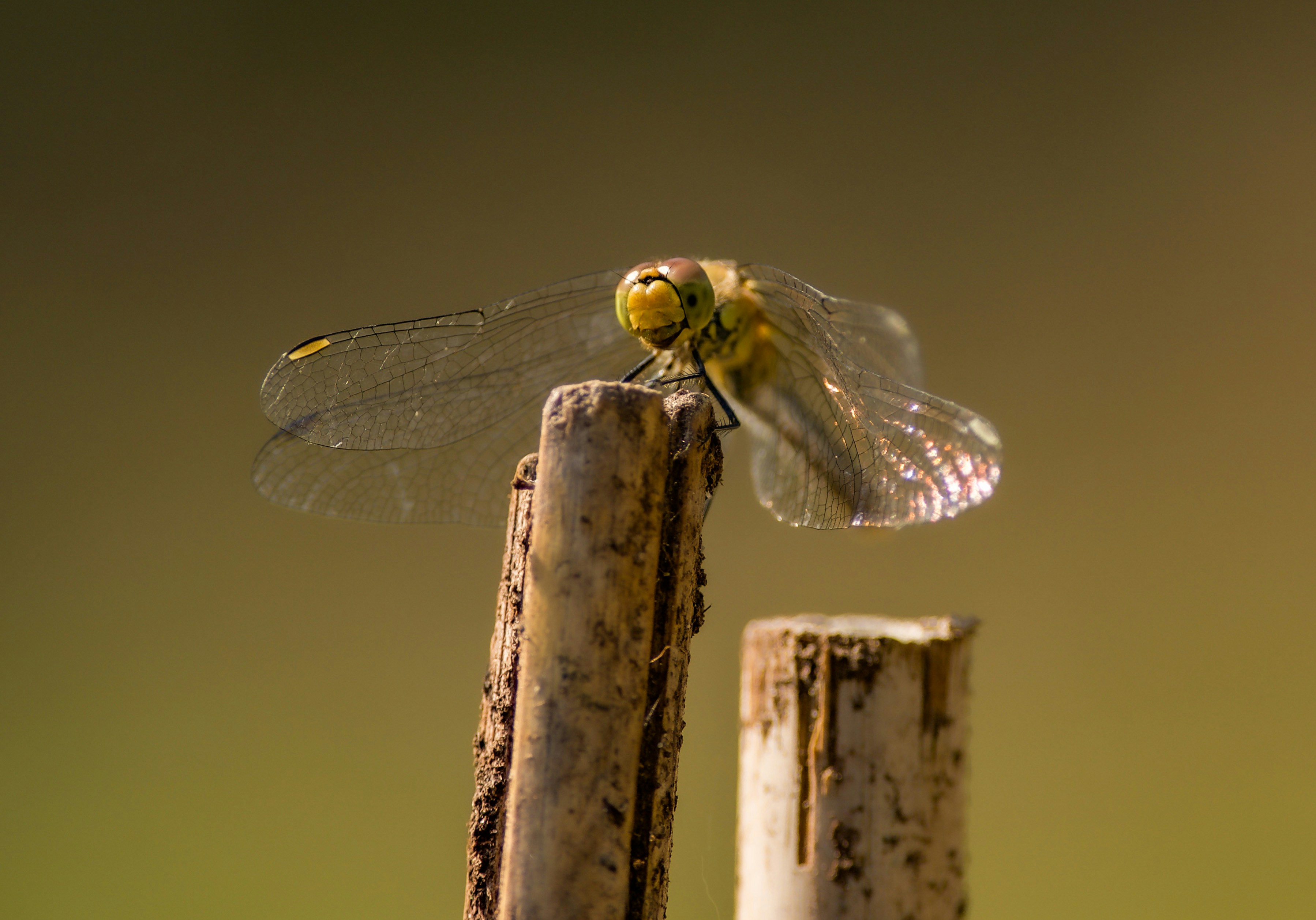 Photo by photosharing1000