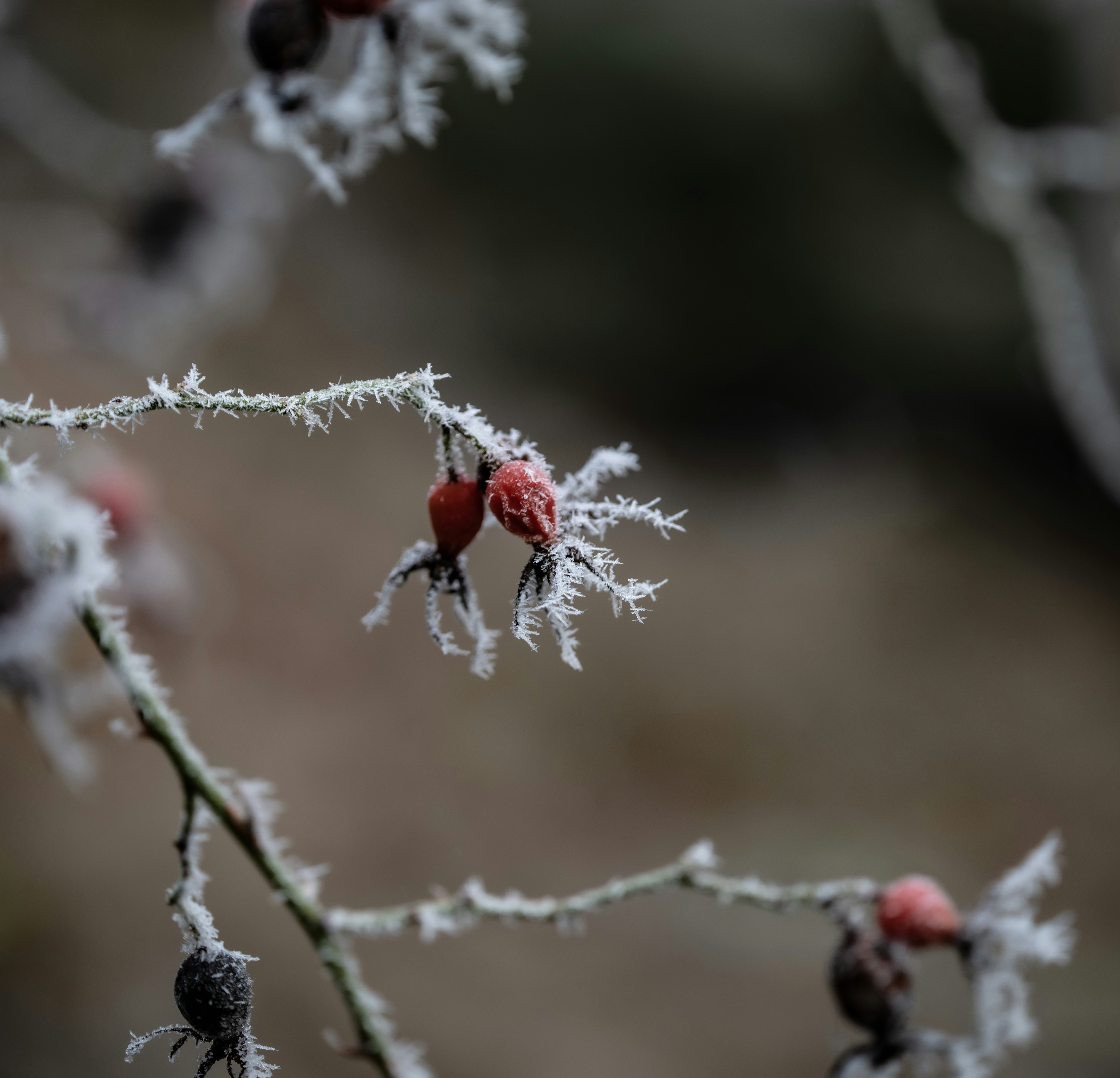 Photo by photosharing1000