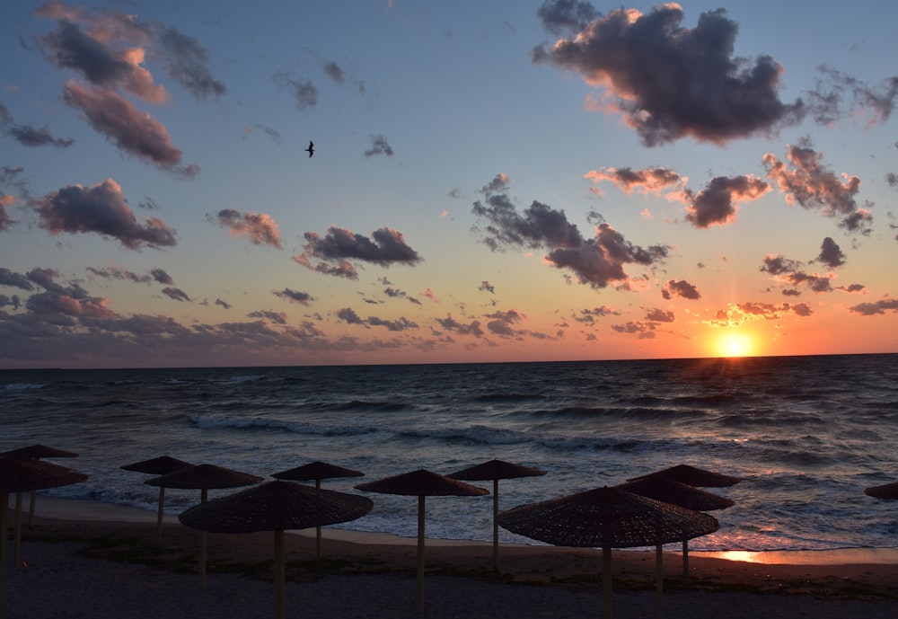 silhouette of people on beach during sunset