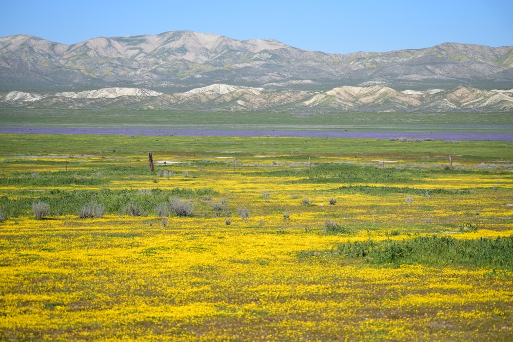 green grass field near mountain during daytime