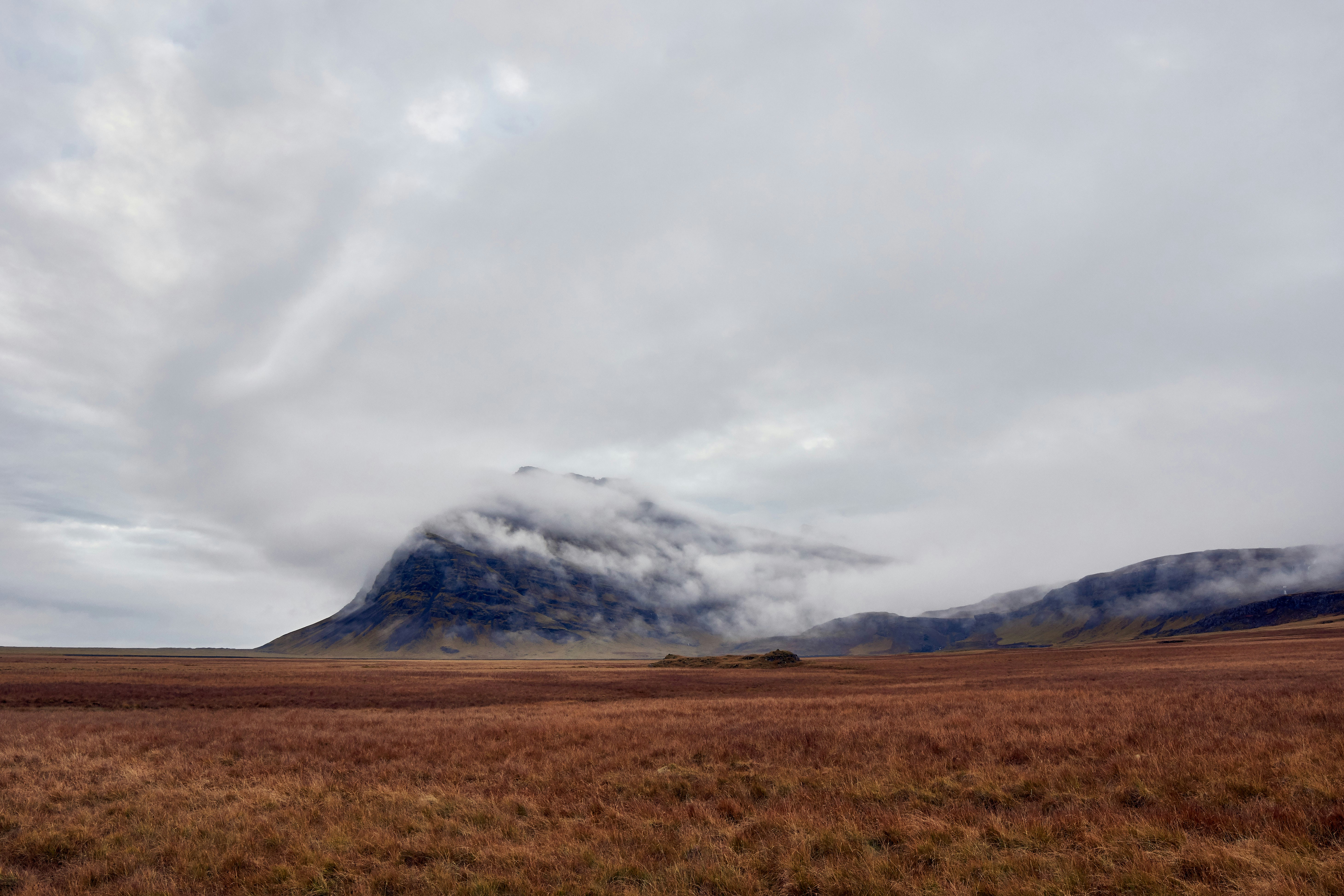 Photo by wolfgang_hasselmann