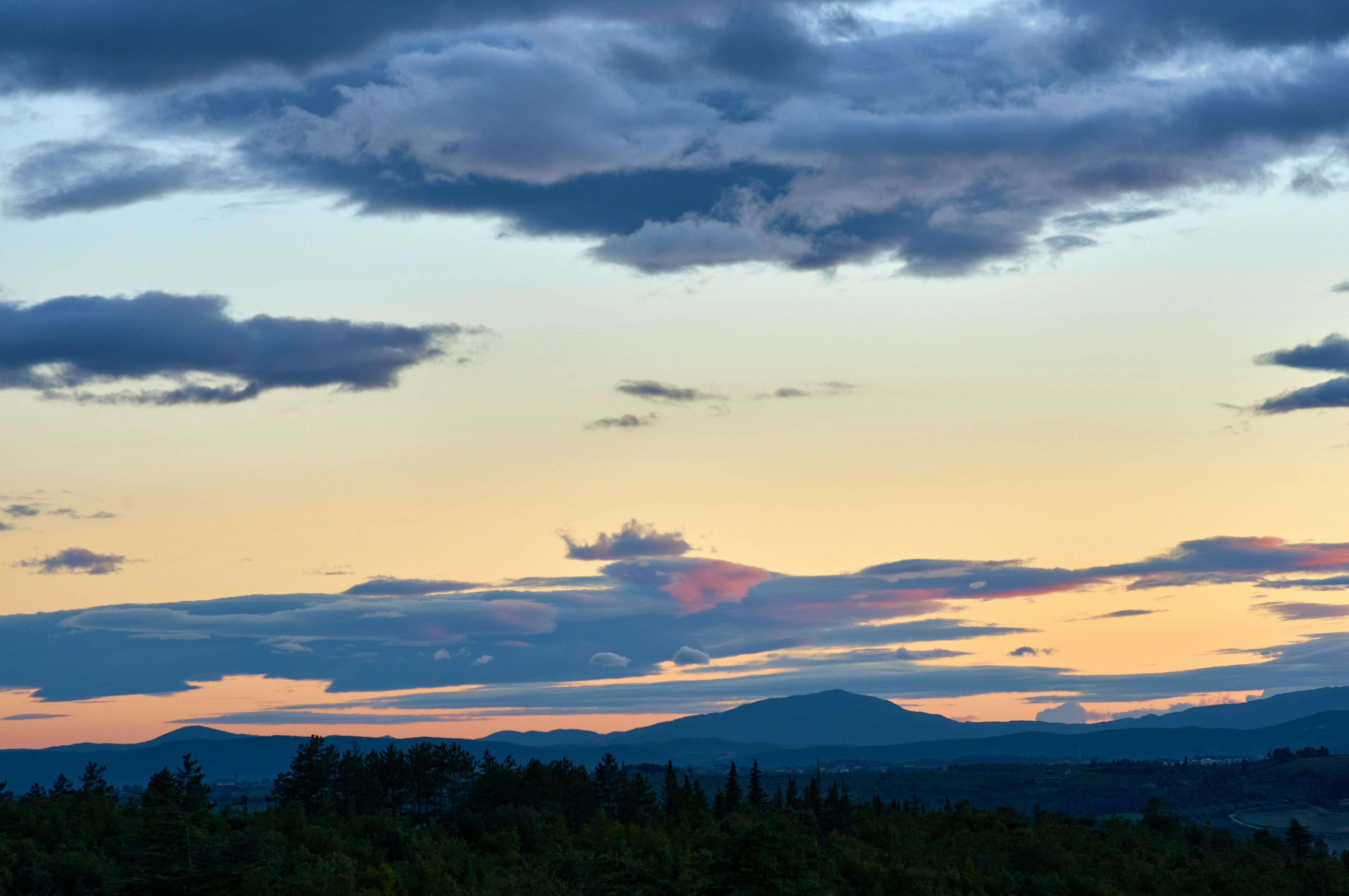 Photo by wolfgang_hasselmann