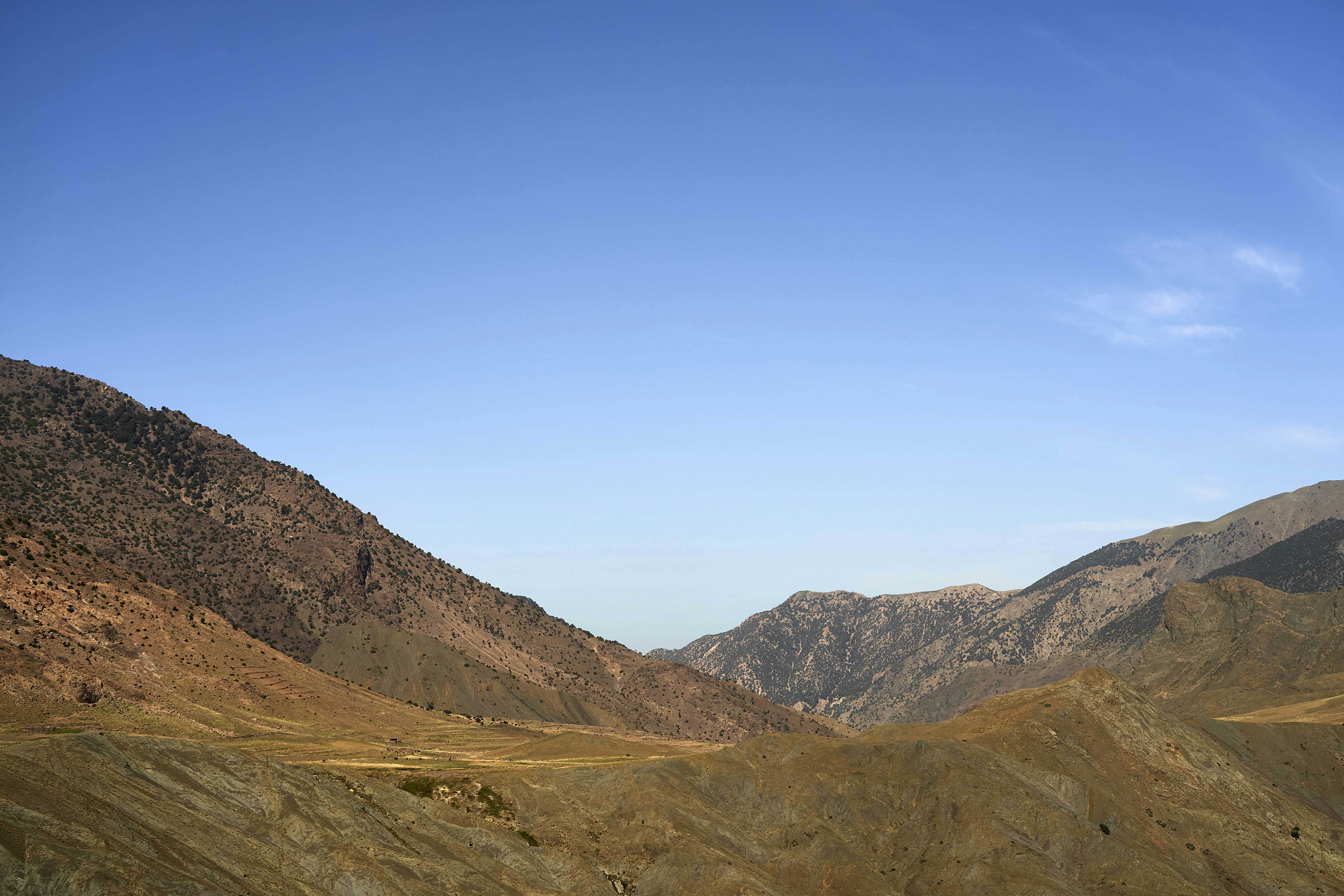 Photo by wolfgang_hasselmann