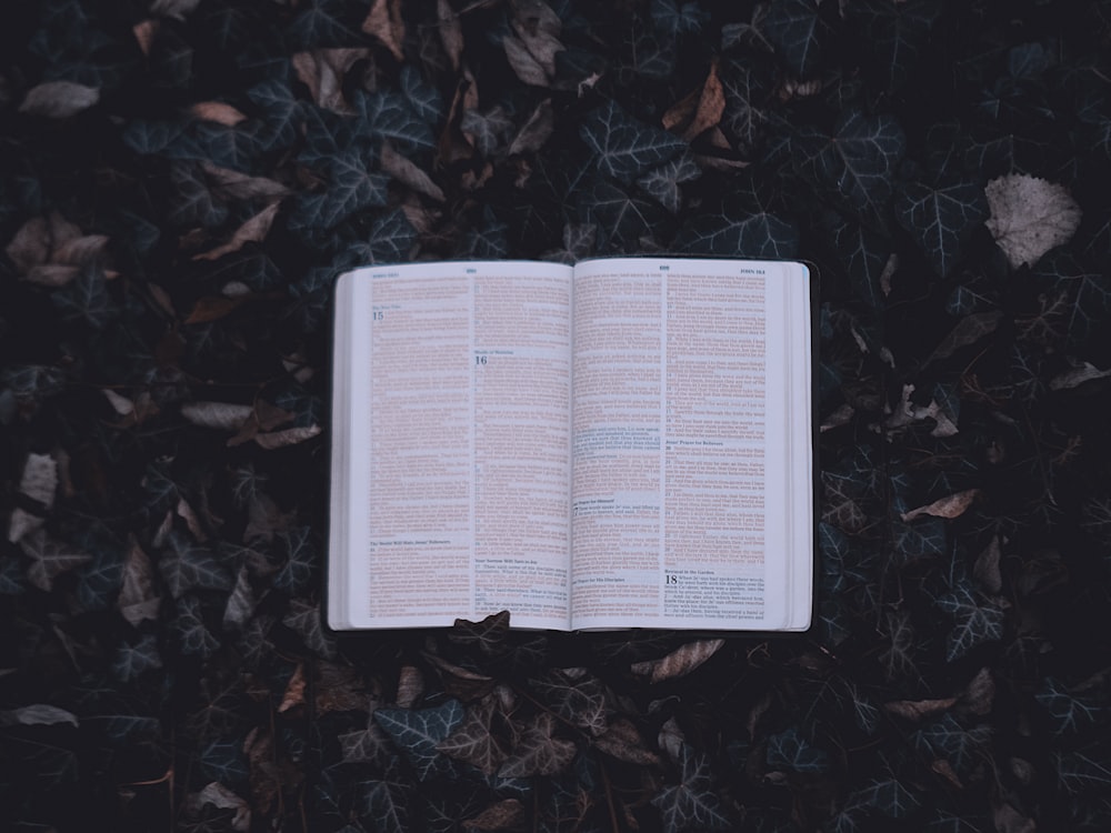 white book page on brown leaves