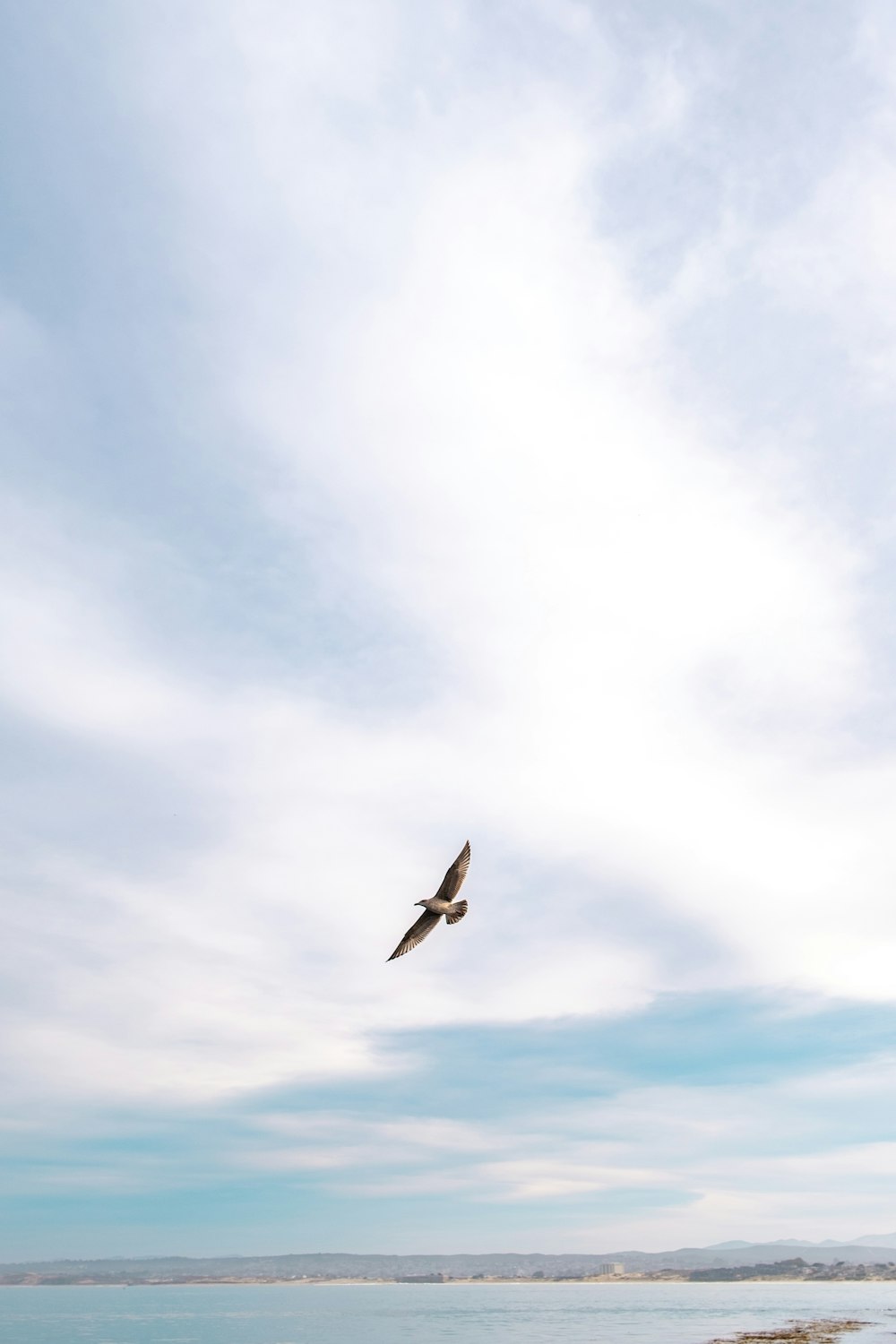 black bird flying under white clouds during daytime