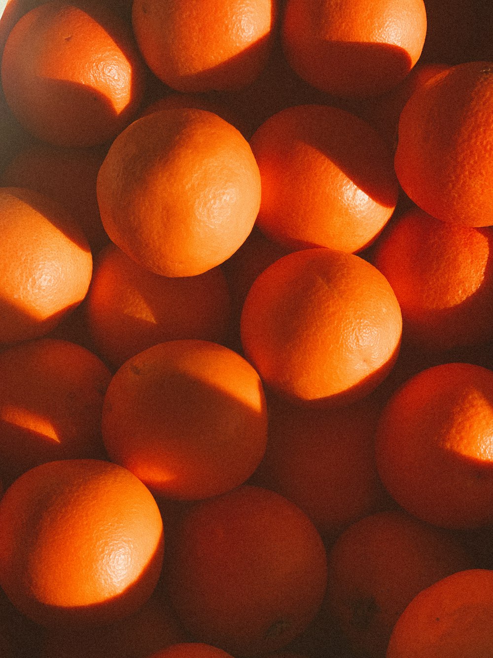 close up photo of orange fruits