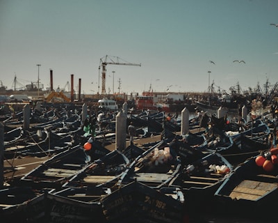 Numerous wooden fishing boats are tightly packed in a harbor, some with visible fishing nets and equipment. Seagulls fly overhead, and large industrial cranes and vessels can be seen in the background, indicating a busy port environment.