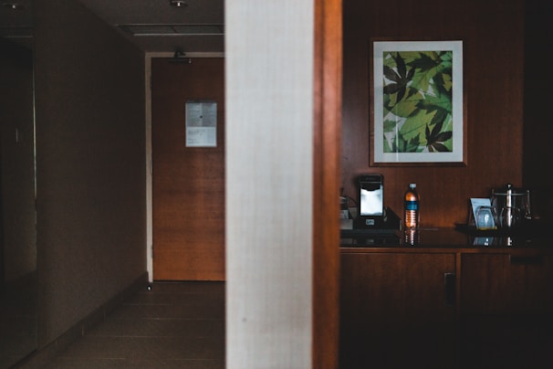 A dimly lit hallway in a hotel or apartment, featuring a wooden door with a sign and a side table with a small coffee maker, a bottle of water, and a few booklets. A piece of modern art depicting green leaves is hung on the wooden wall panel above the counter.