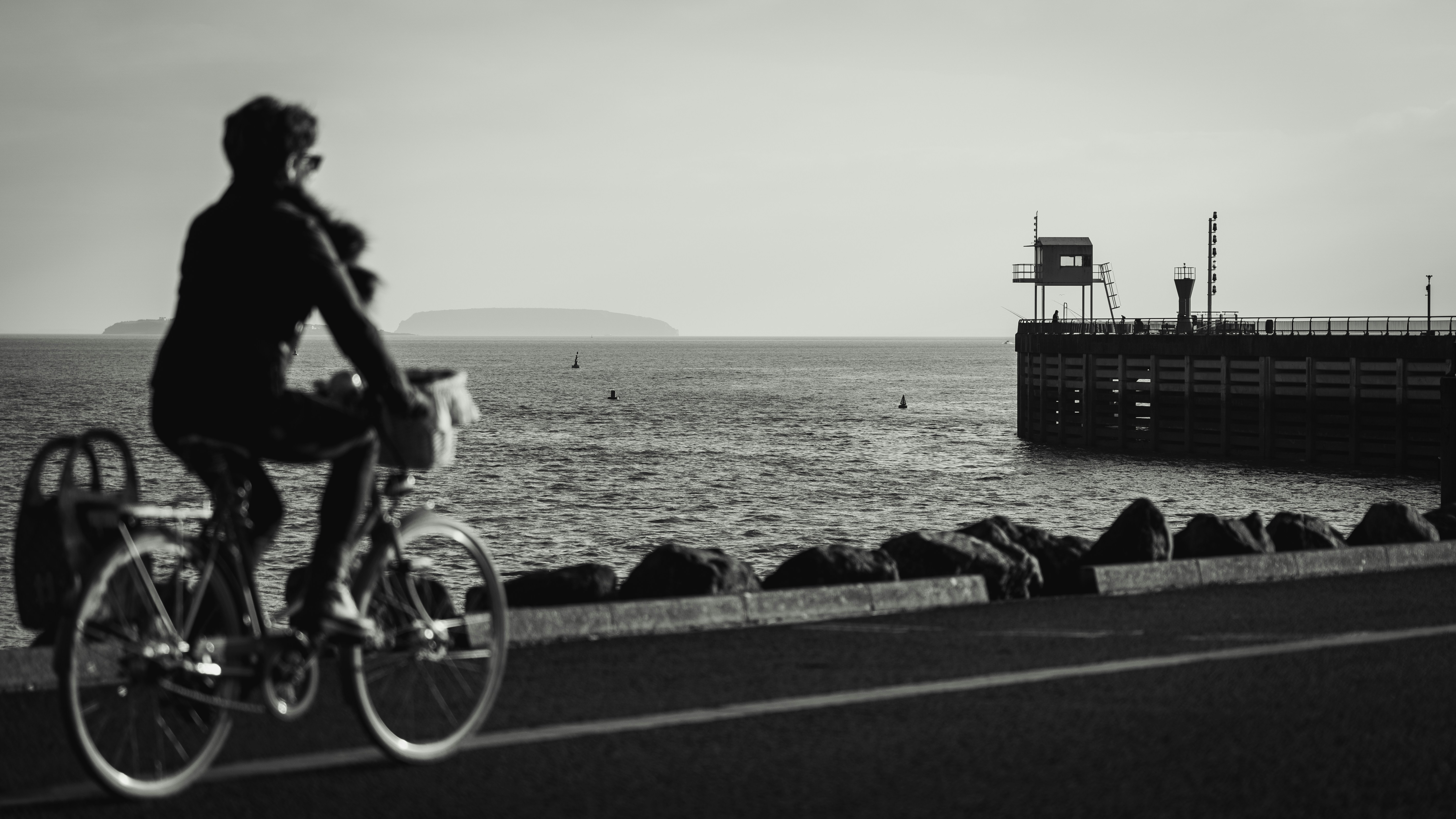 grayscale photo of bicycle near body of water