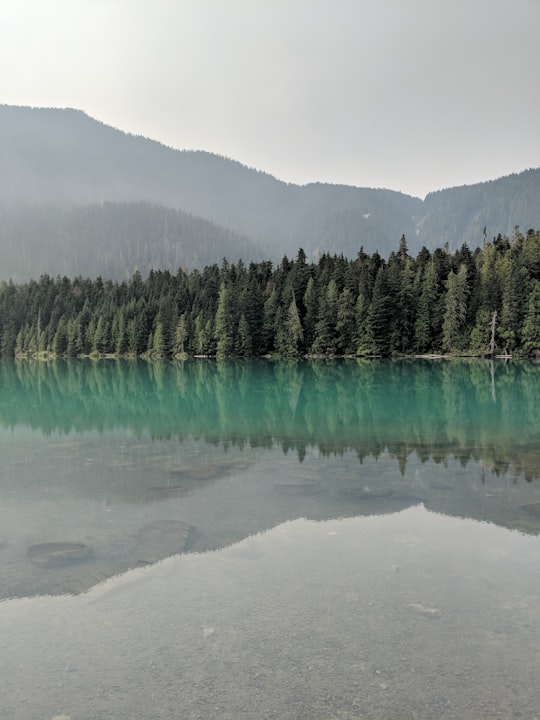 green pine trees near lake during daytime in Cheakamus River Canada