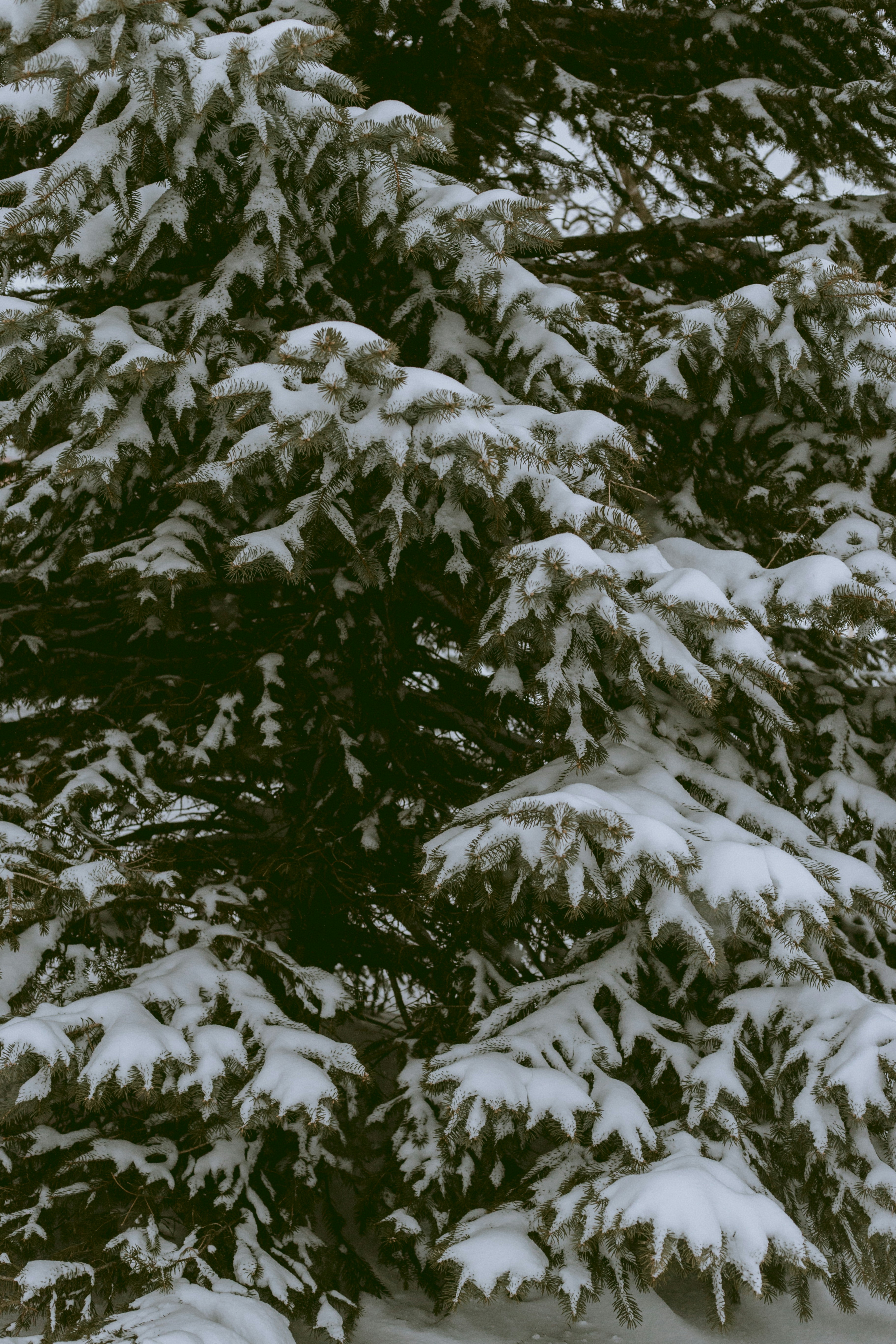 Photo by natashareddy