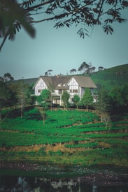 A large, classic-style house sits atop a lush, green hillside with a surrounding landscape of trimmed bushes and trees. The background features more greenery and trees under a clear blue sky while some branches frame the image from above. The foreground includes a reflective pond with hints of aquatic vegetation.