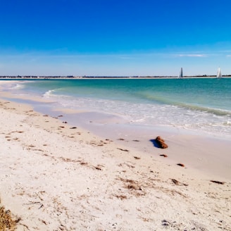 brown sand beach during daytime