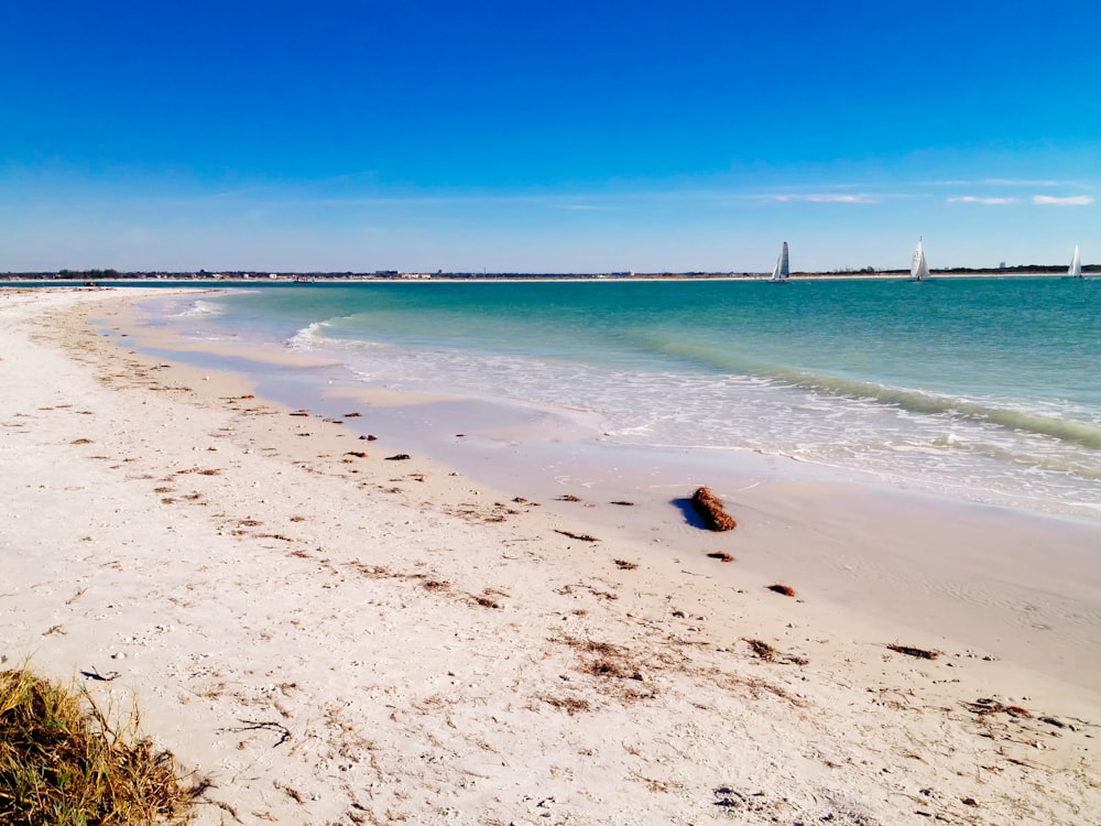 brown sand beach during daytime