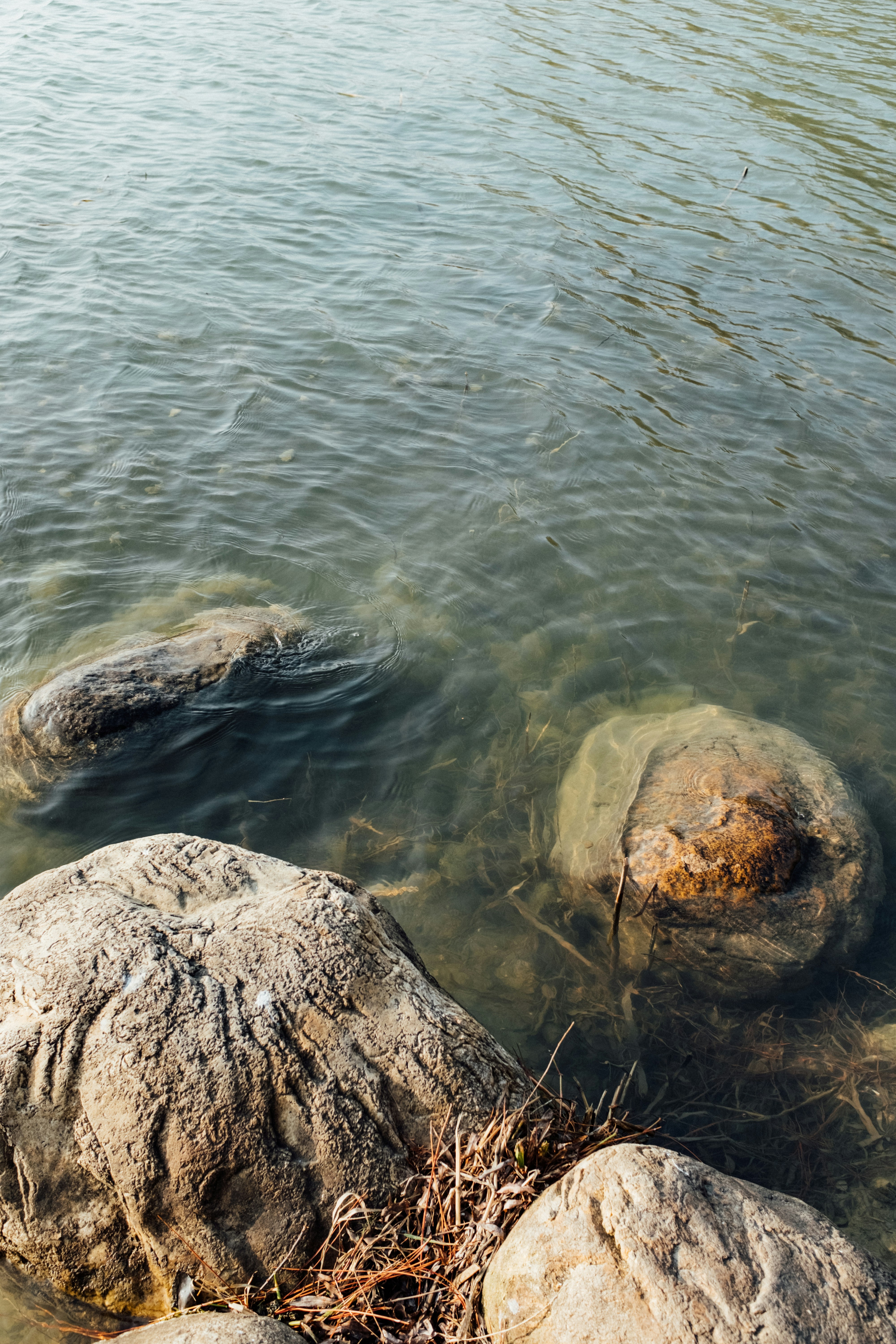 Photo by kennyzhang29