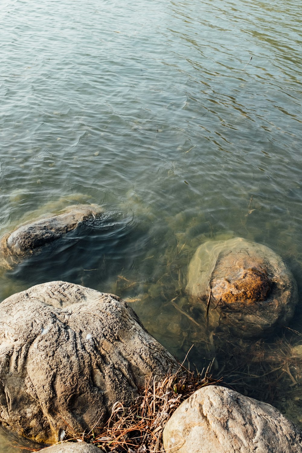 brown rock on body of water during daytime