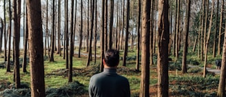 man in gray crew neck shirt standing in the woods during daytime