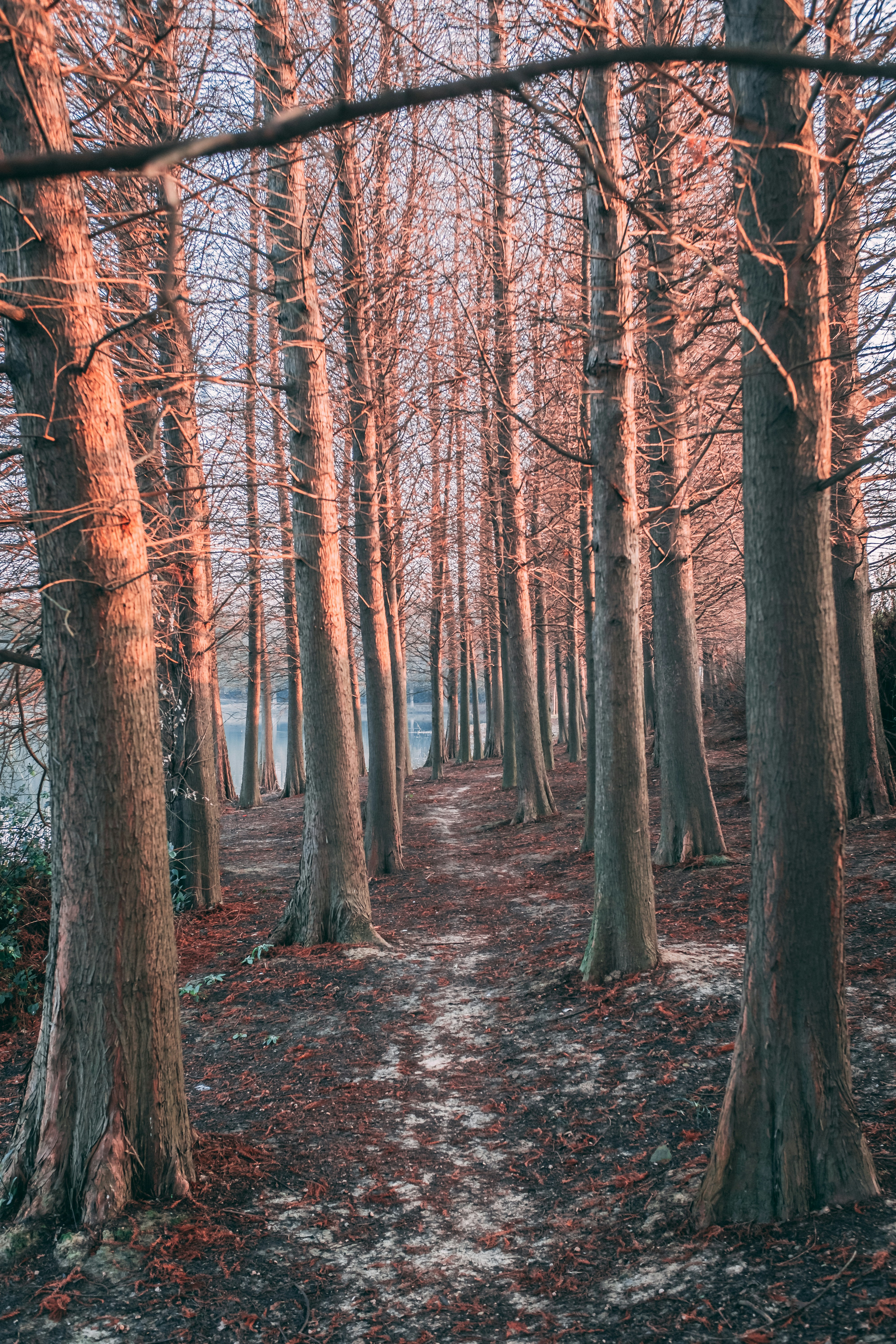 Photo by kennyzhang29