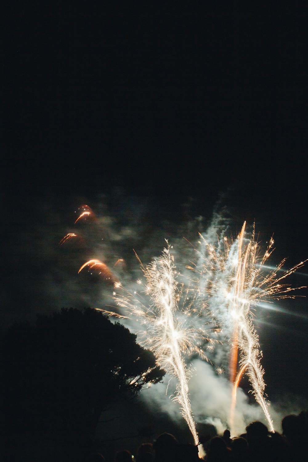 a group of people watching a fireworks show