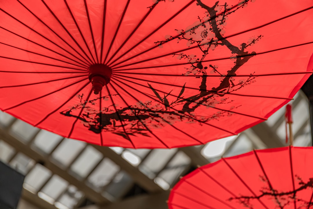 red umbrella in close up photography