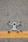 A drone with black propellers is positioned on a textured asphalt surface with a prominent yellow line running horizontally beneath it.