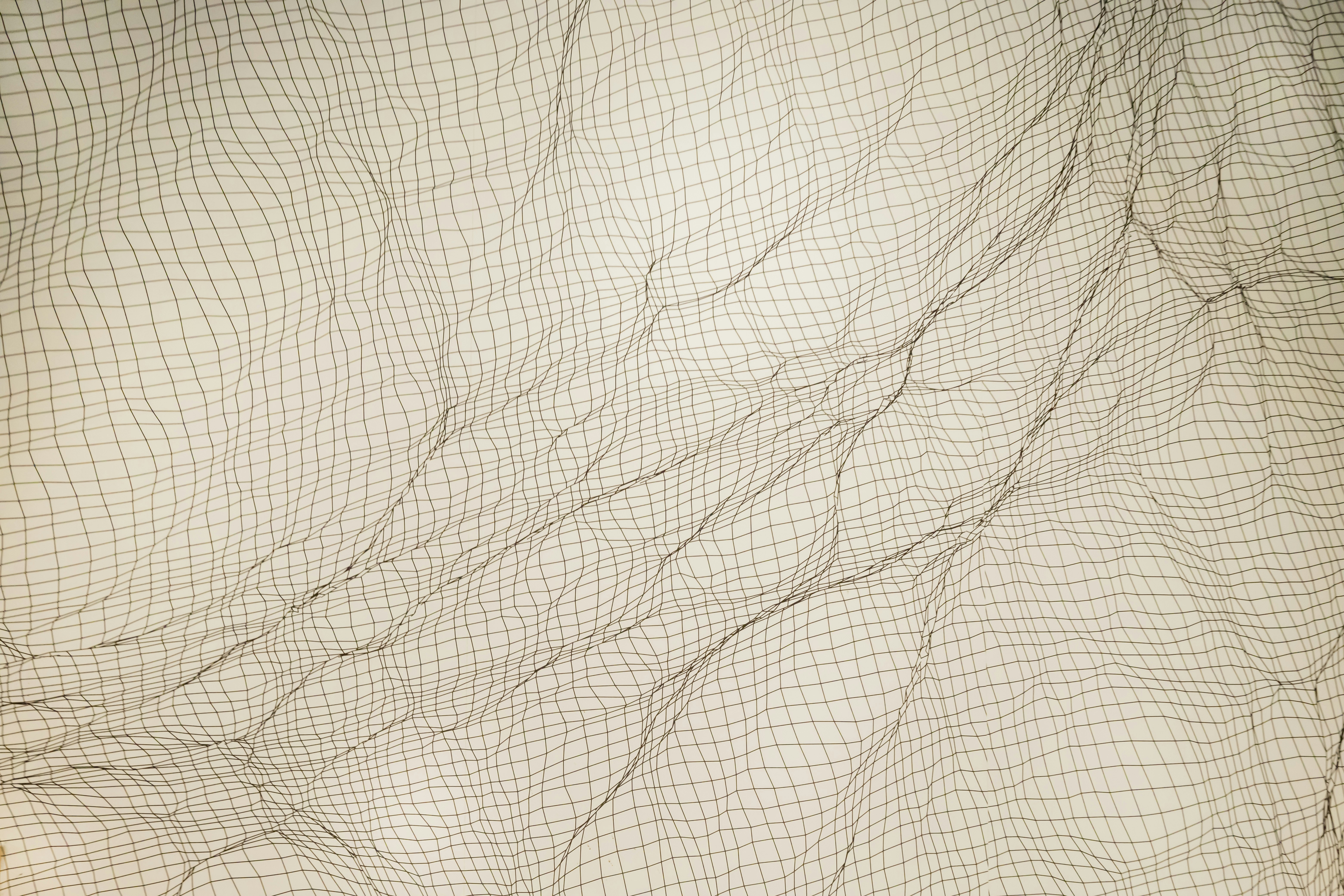 Your Consciousness Might Survive Your Death