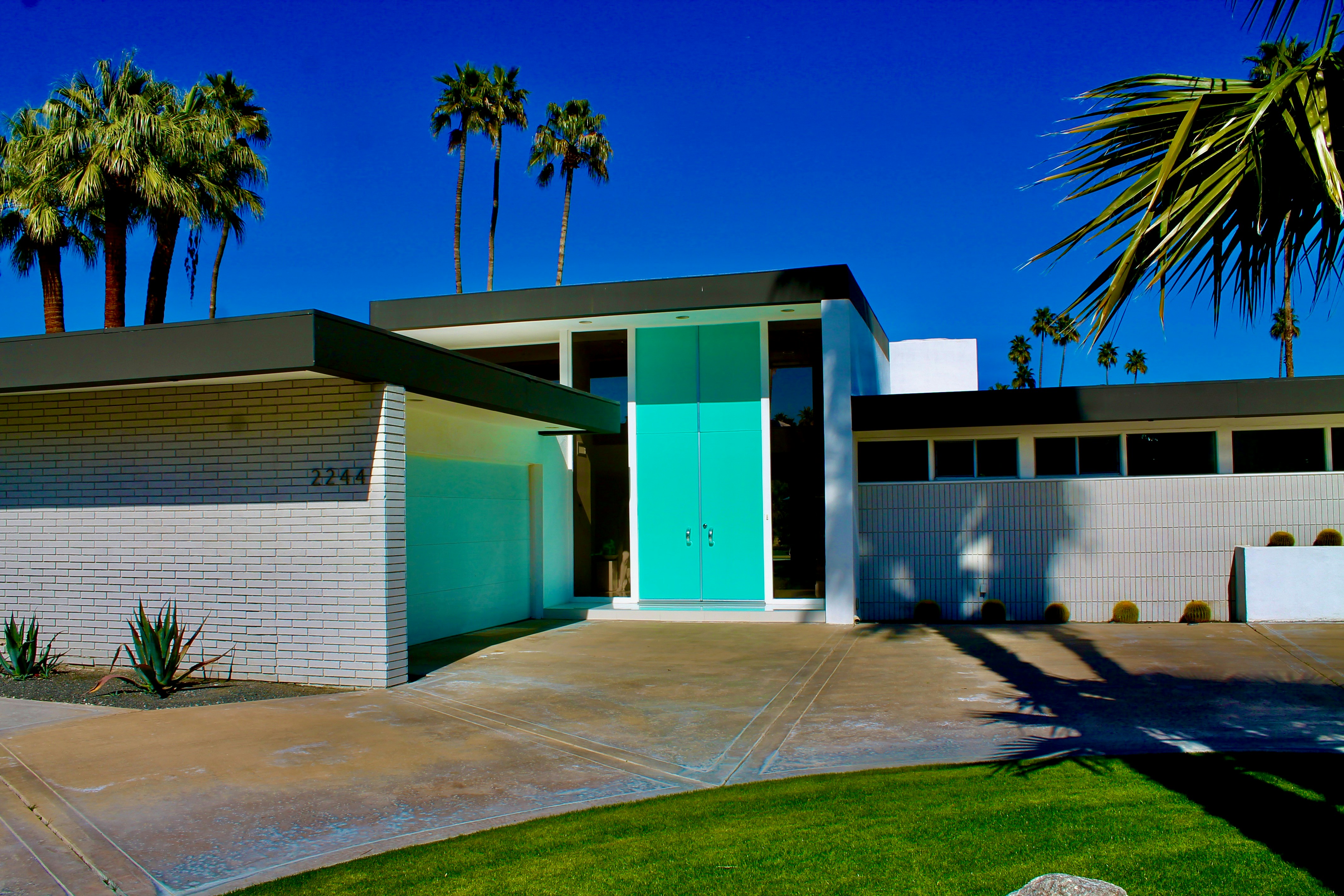 blue and white concrete building near palm tree during daytime