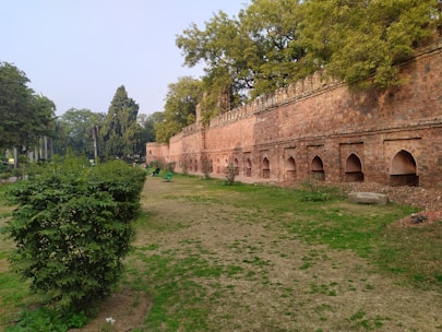 A sturdy stone retaining wall nestled in a lush garden setting.