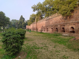 A sturdy stone wall blending seamlessly into a lush garden landscape on the shoreline.